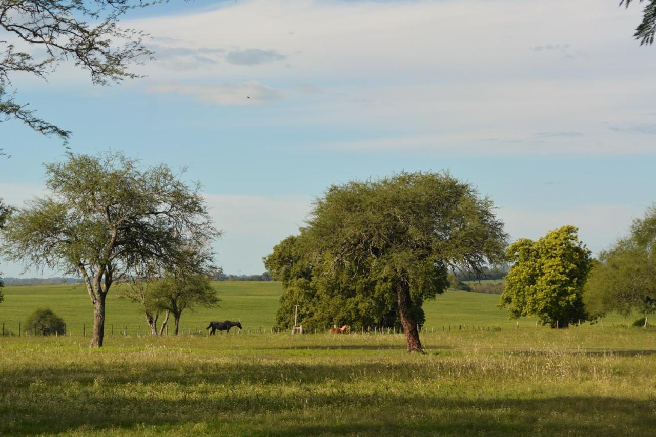 Porvenir Estancia El Cangue מראה חיצוני תמונה