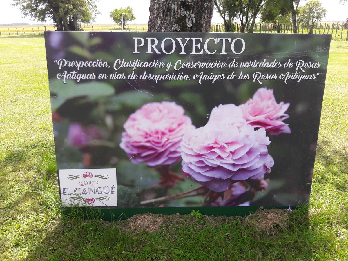 Porvenir Estancia El Cangue מראה חיצוני תמונה