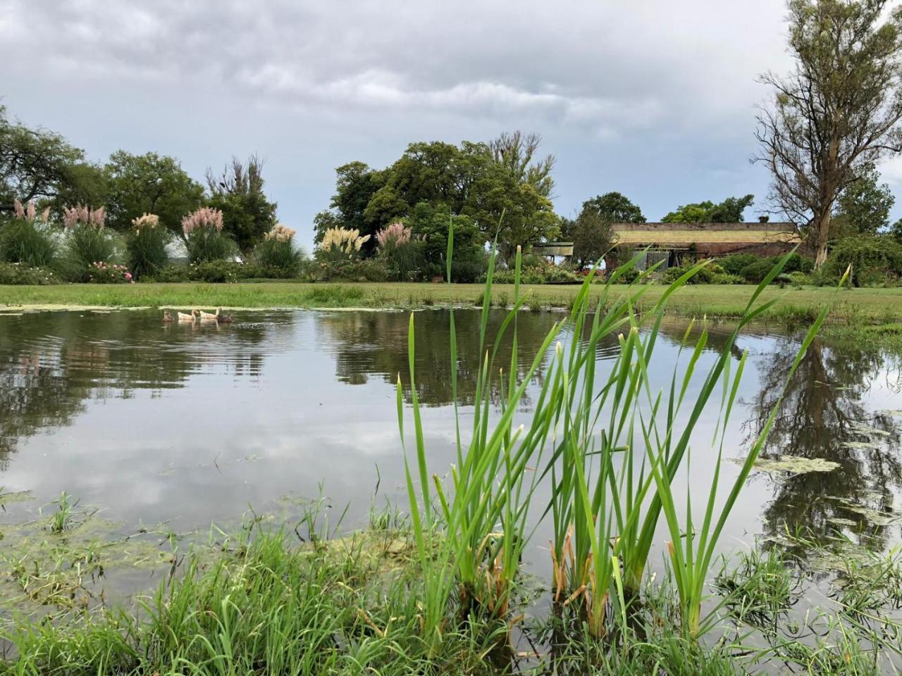Porvenir Estancia El Cangue מראה חיצוני תמונה